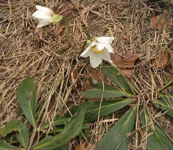 Appartamento Freudenmacher